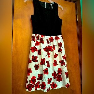 Black Lace and Poppies Kenzie sleeveless dress-Size Small